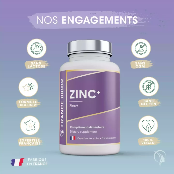 Zinc+ Nos engagements France Brior