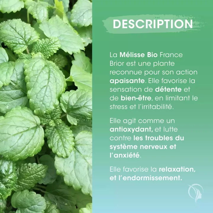 Description du complément alimentaire Mélisse Bio France Brior