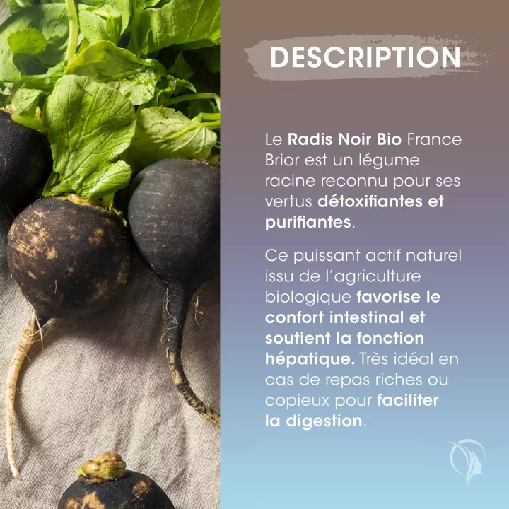 Description du complément alimentaire Radis Noir France Brior