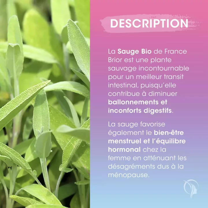 Description du complément alimentaire Sauge Bio France Brior