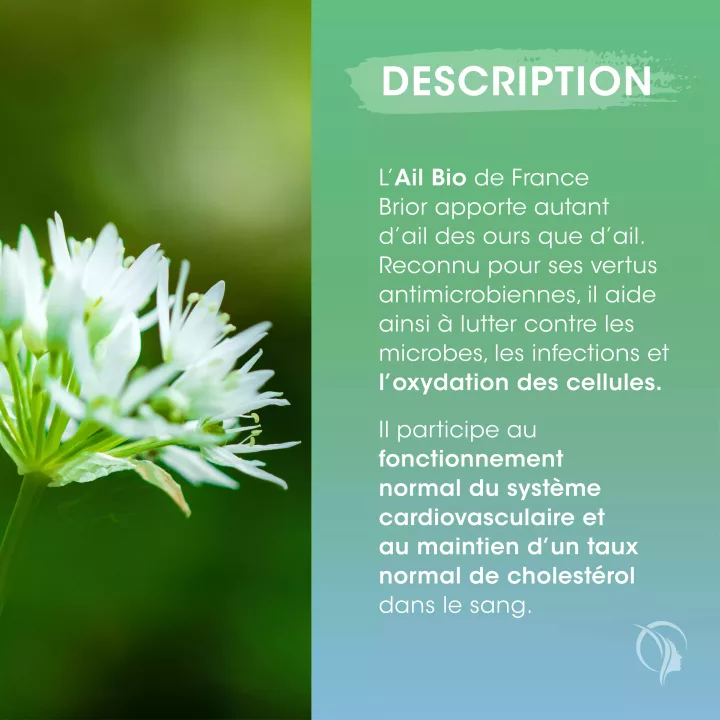 Description du complément alimentaire Ail Bio France Brior