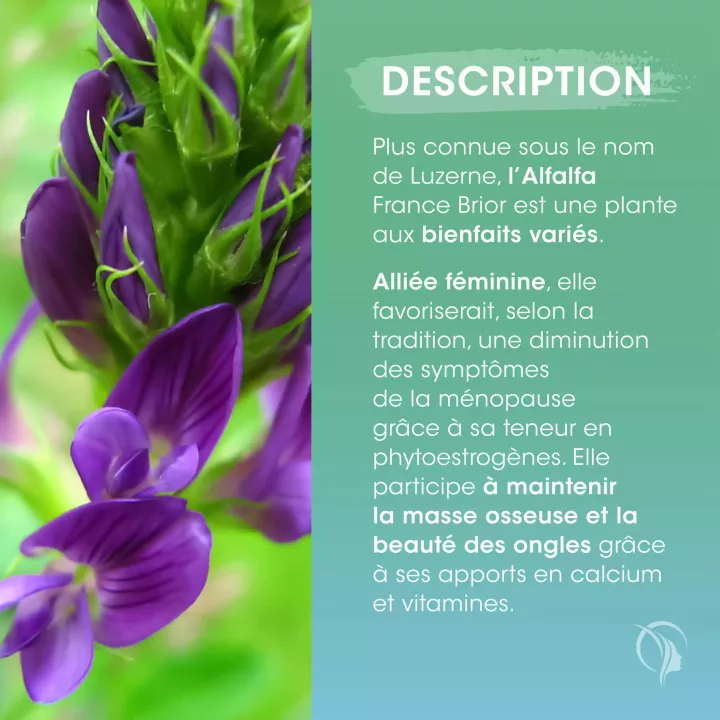 Description du complément alimentaire Alfalfa France Brior